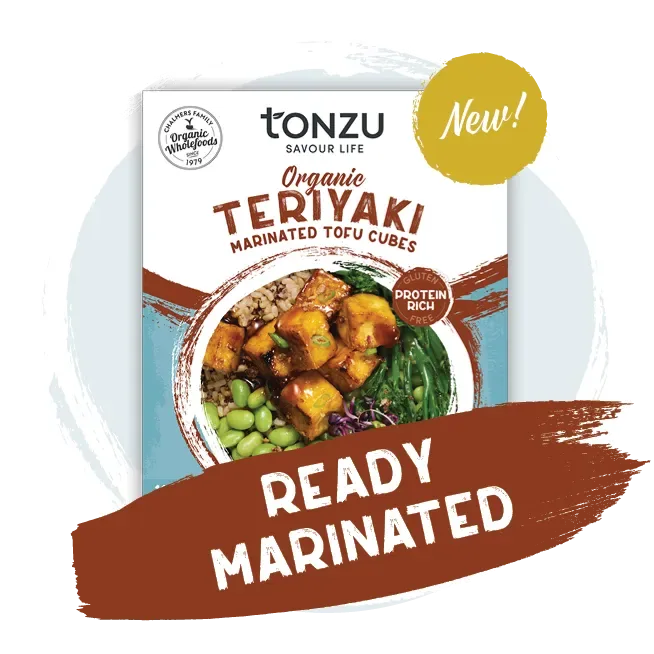 Teriyaki Tofu Cubes