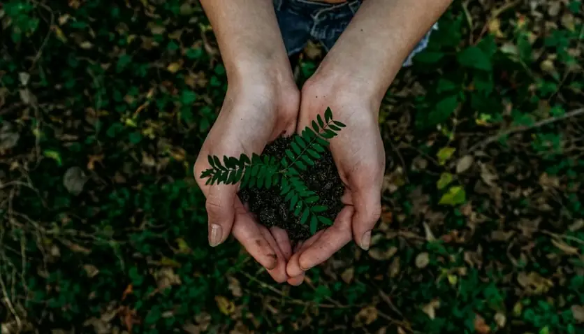 Sustainability and environmental impact